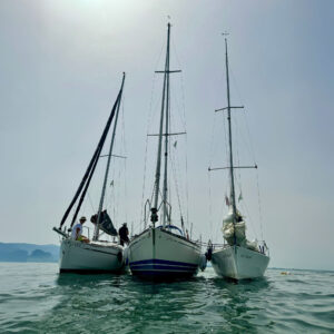 Drei Segelboote die nebeneinander im Wasser auf dem Bodensee ankern